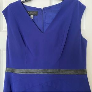 Evan Picone Dress Leather Strip in the Waste Size 14